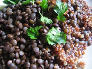 Black lentils are full of iron Black Lentils